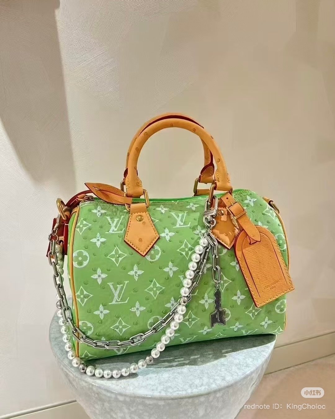 Louis Vuitton - Speedy P9 25 ostrich