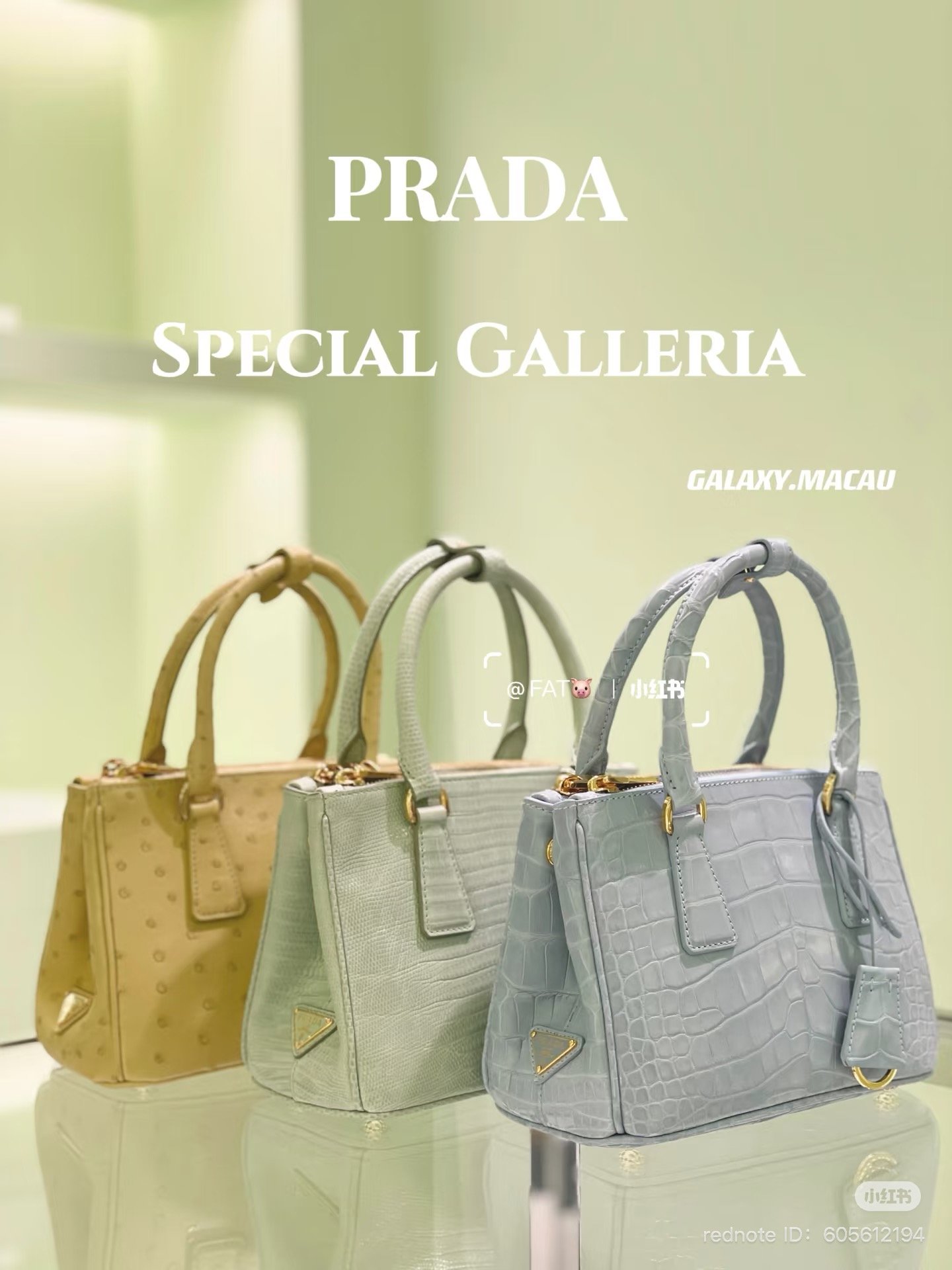 Prada - Galleria Exotic Skin Mini Bag
