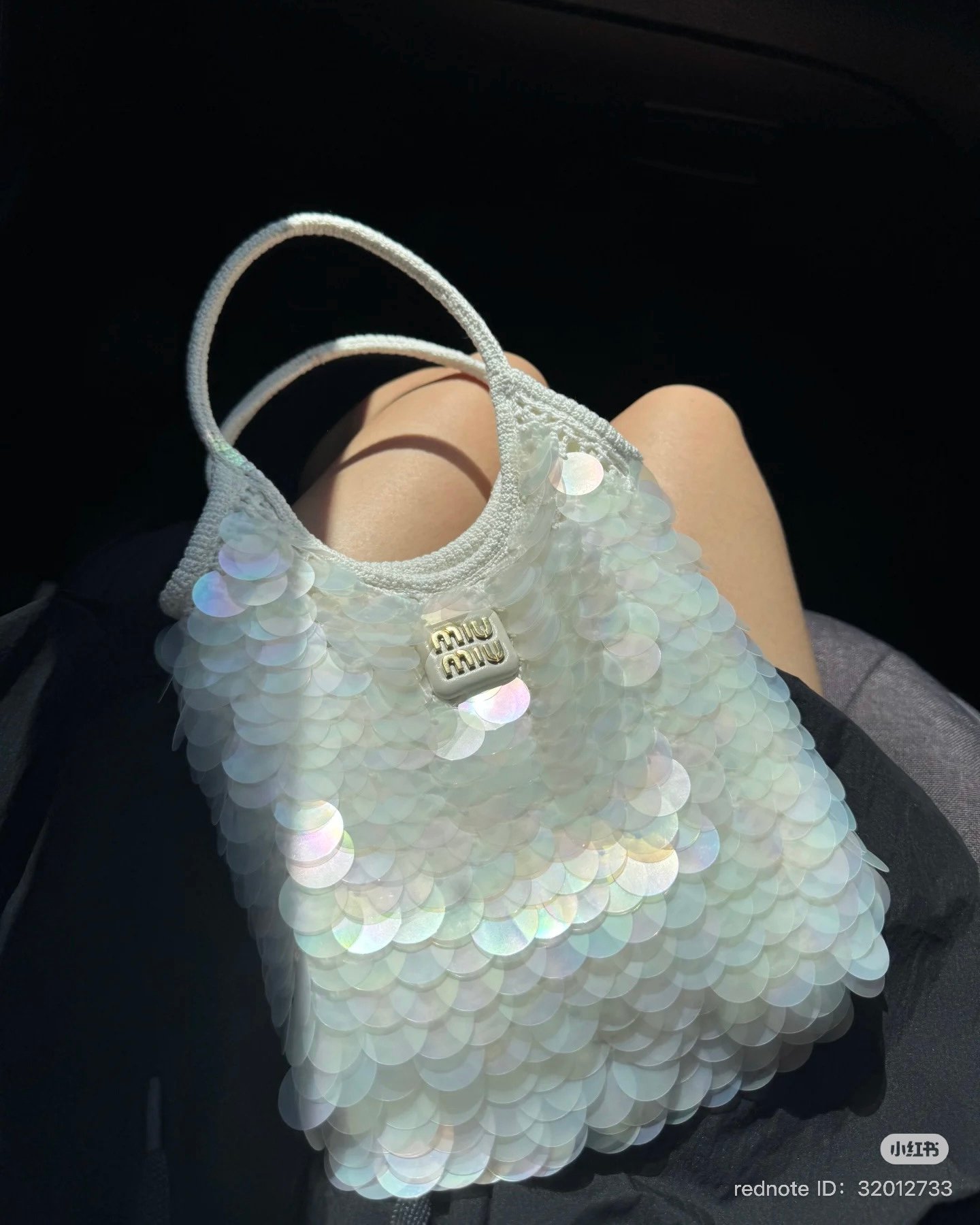miu miu IVY Mesh Bag sequin