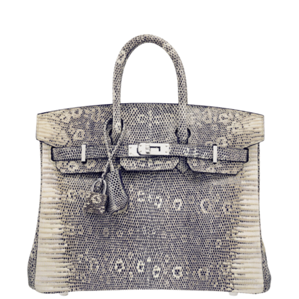 Hermès 25cm Ombre Salvator Lizard Birkin