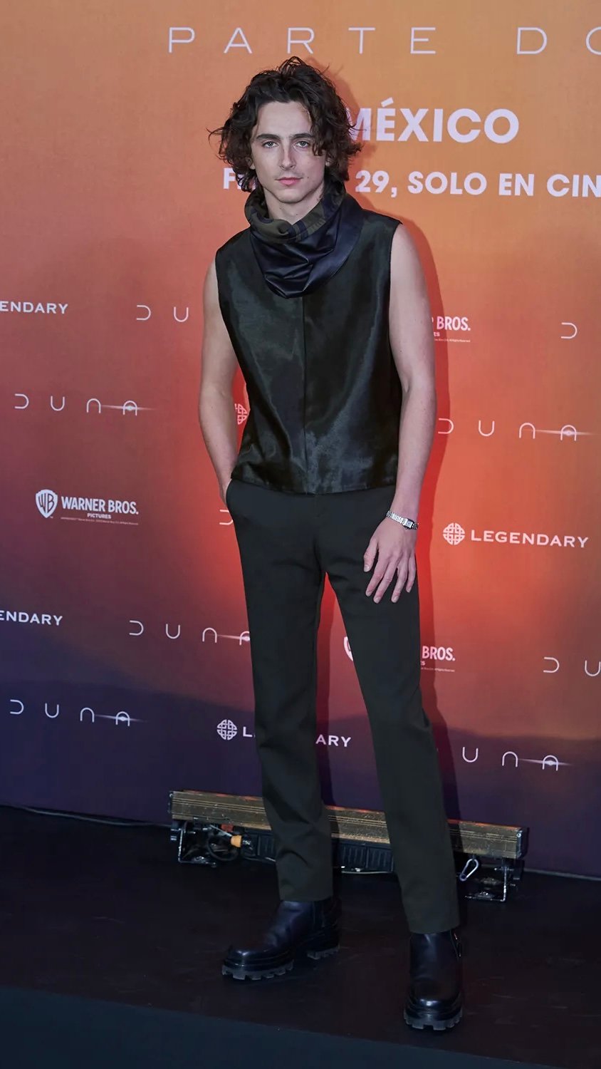 Timotheé Chalamet hermes ready to wear