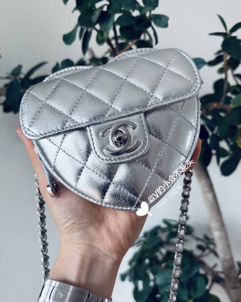 Chanel Pre-Fall/Winter 2025/26 handbags (25B) Are Here - PurseBop