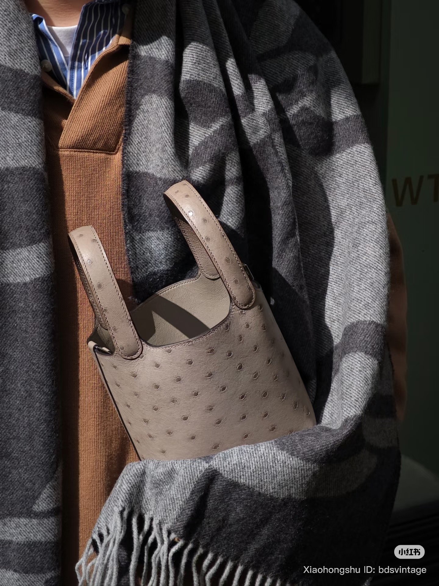 hermes micro picotin ostrich