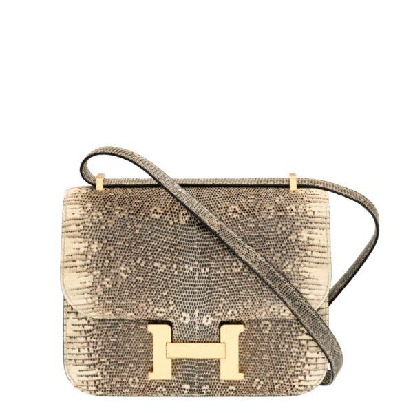 Hermès 18cm Ombre Salvator Lizard Mini Constance