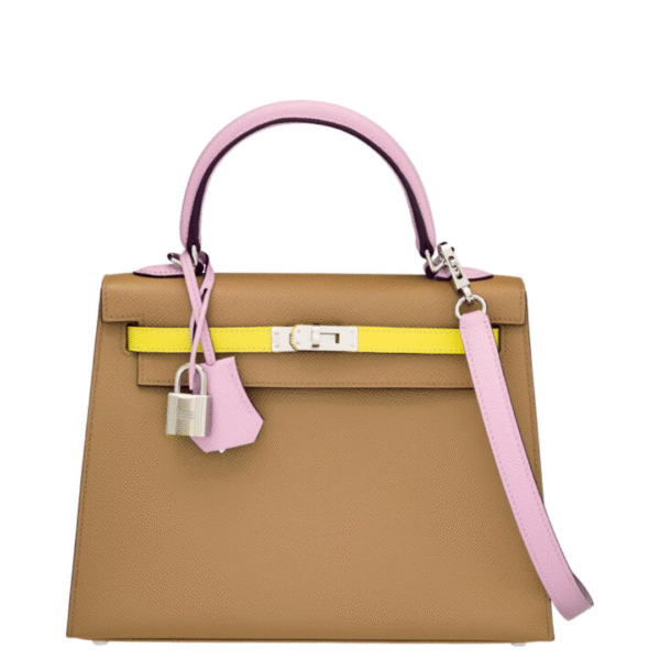Hermes Kelly 25 Tri Color
