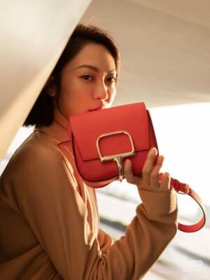 Hermès Della Cavalleria Guide