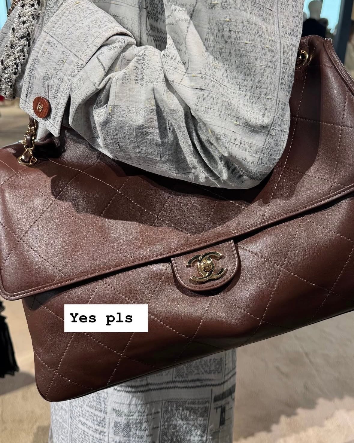 chanel cruise 2027 bags