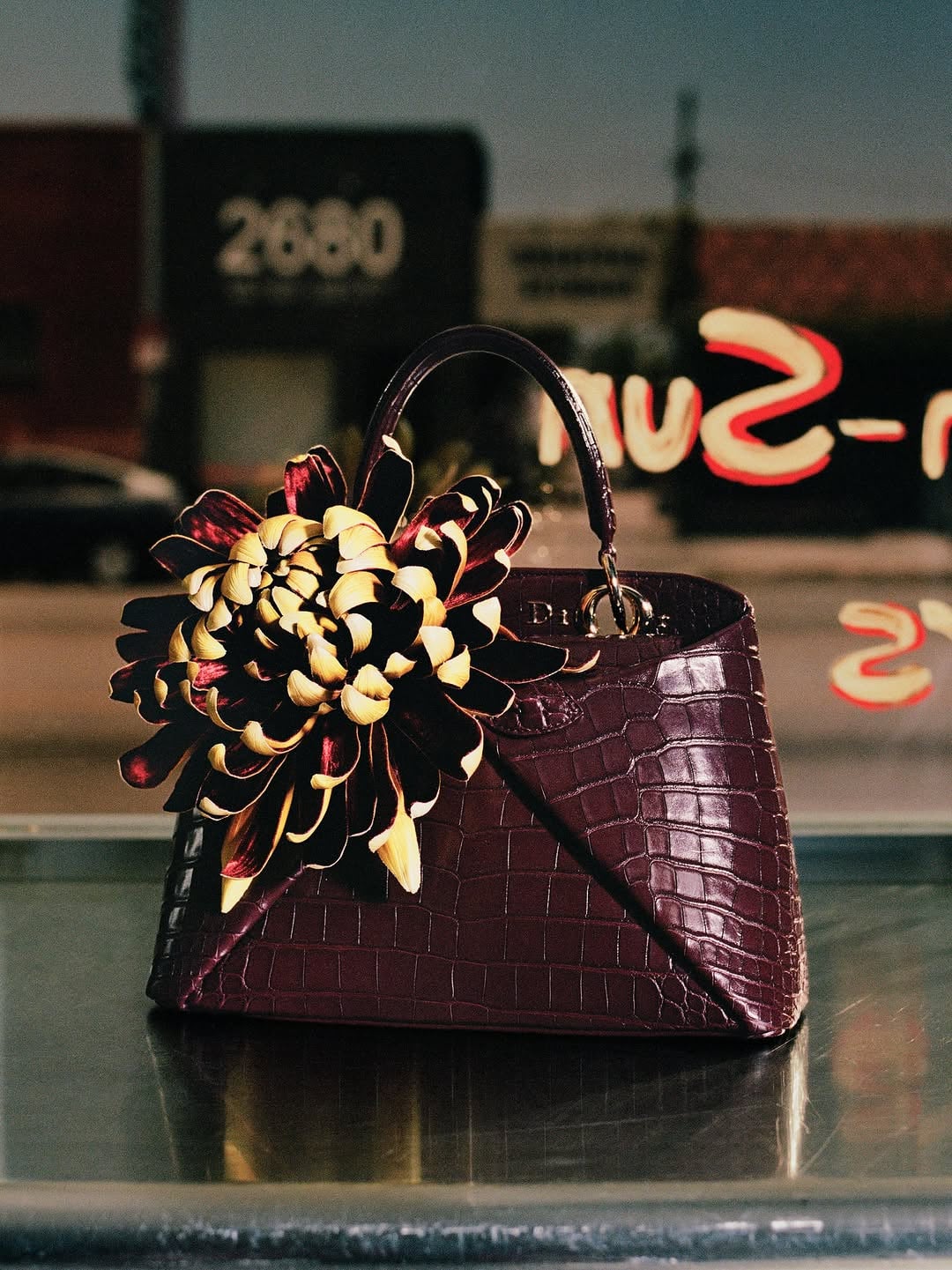 Dior Cruise 2027 Bags