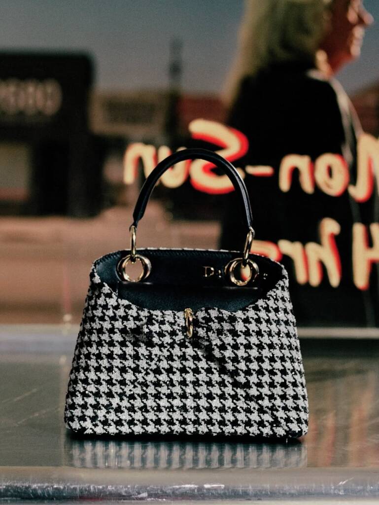 dior-cruise-2027-bags