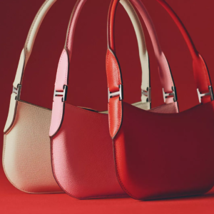 Hermès Le Petit Sac