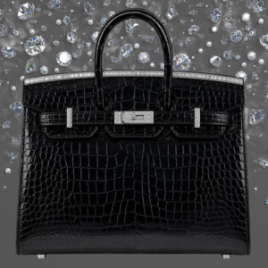 The Newest Dazzling Hermès Birkin 20