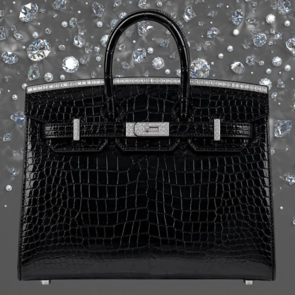 The Newest Dazzling Hermès Birkin 20