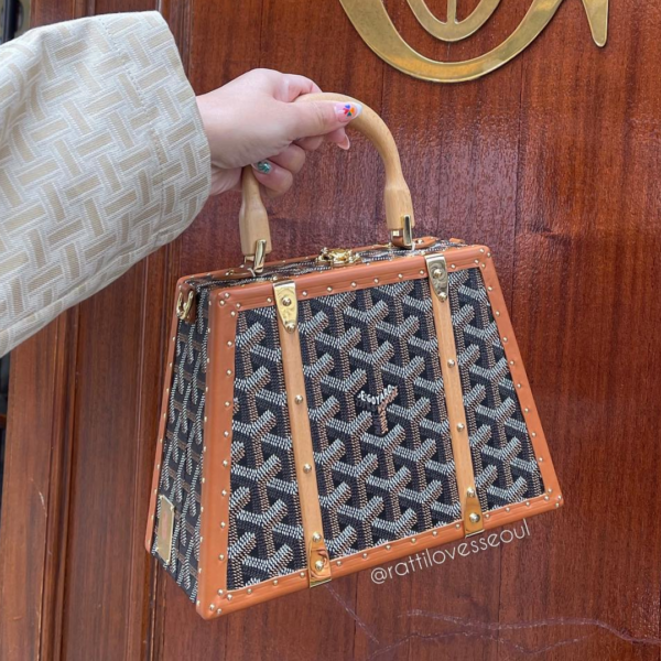 Goyard Trunks